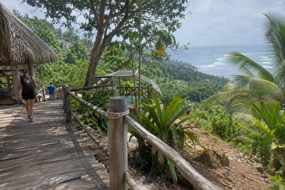 Wooden walkway through dense green jungle in the Anamuya hills