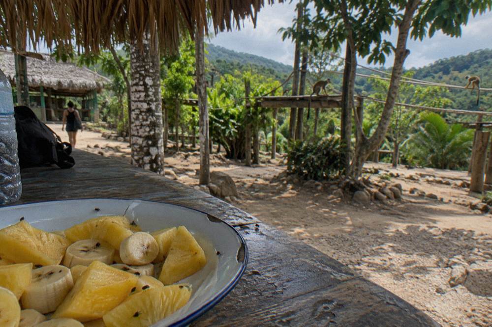 A plate of fresh tropical fruit on a wooden table at a jungle reserve