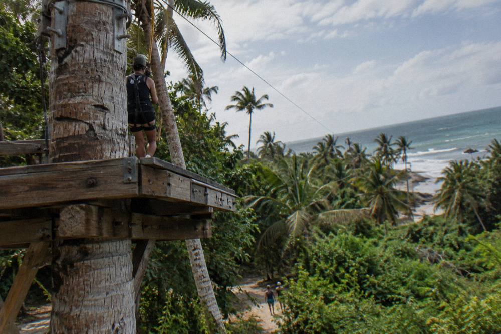 A wooden zipline platform built against a tall tree with cables running into the jungle