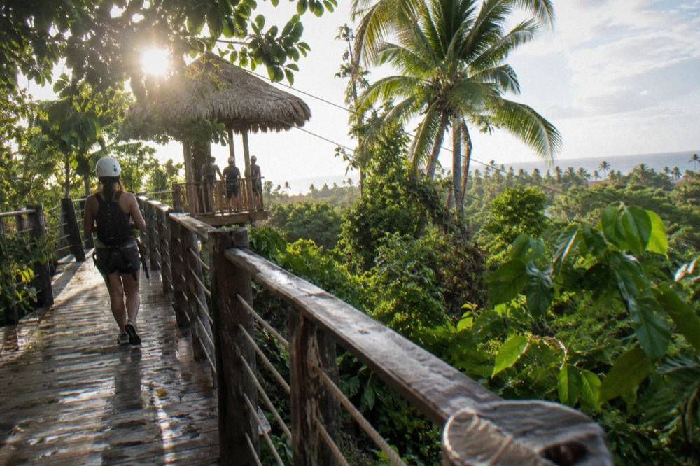 Wooden zipline platform walkway crossing green jungle canopy in morning light