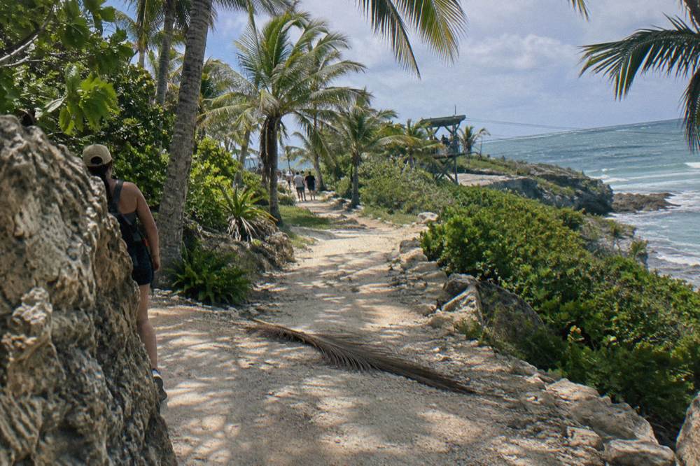 Tropical jungle trail leading to a zipline course with sun filtering through palm leaves