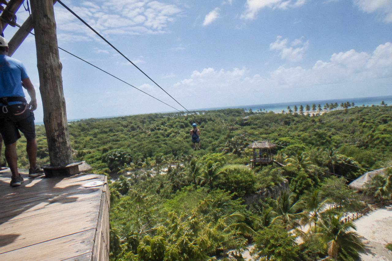 Zipline cables stretched between wooden platforms above a dense green jungle canopy under a blue sky