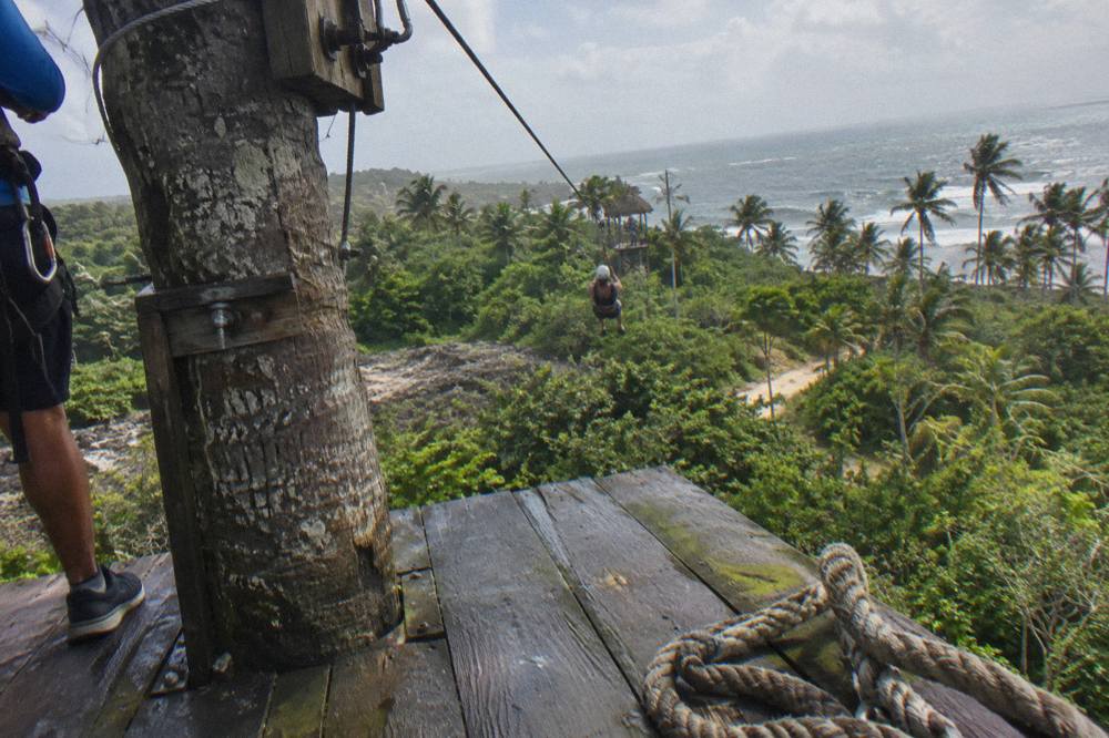 A wooden zipline platform built against a tall tree in tropical forest