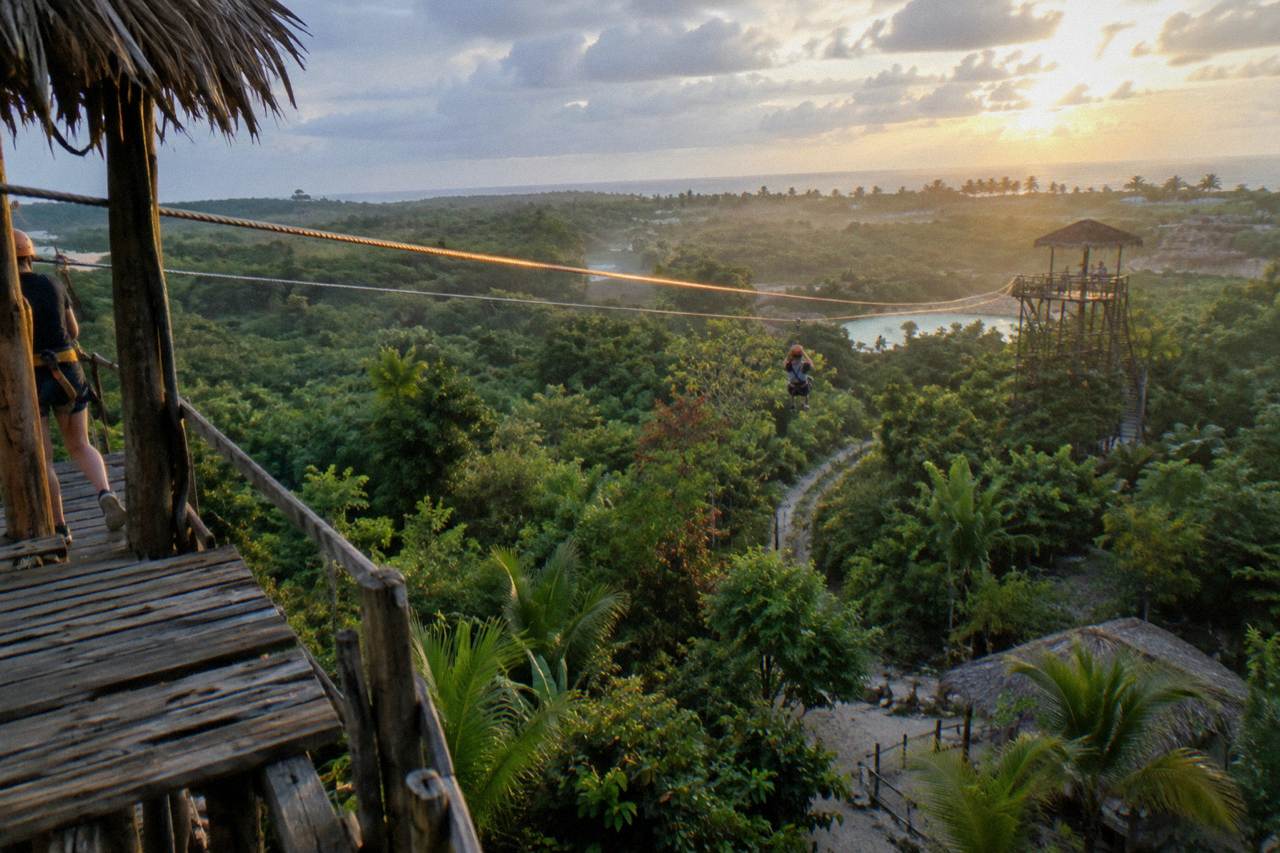 Zipline cables stretched between wooden platforms above dense tropical forest