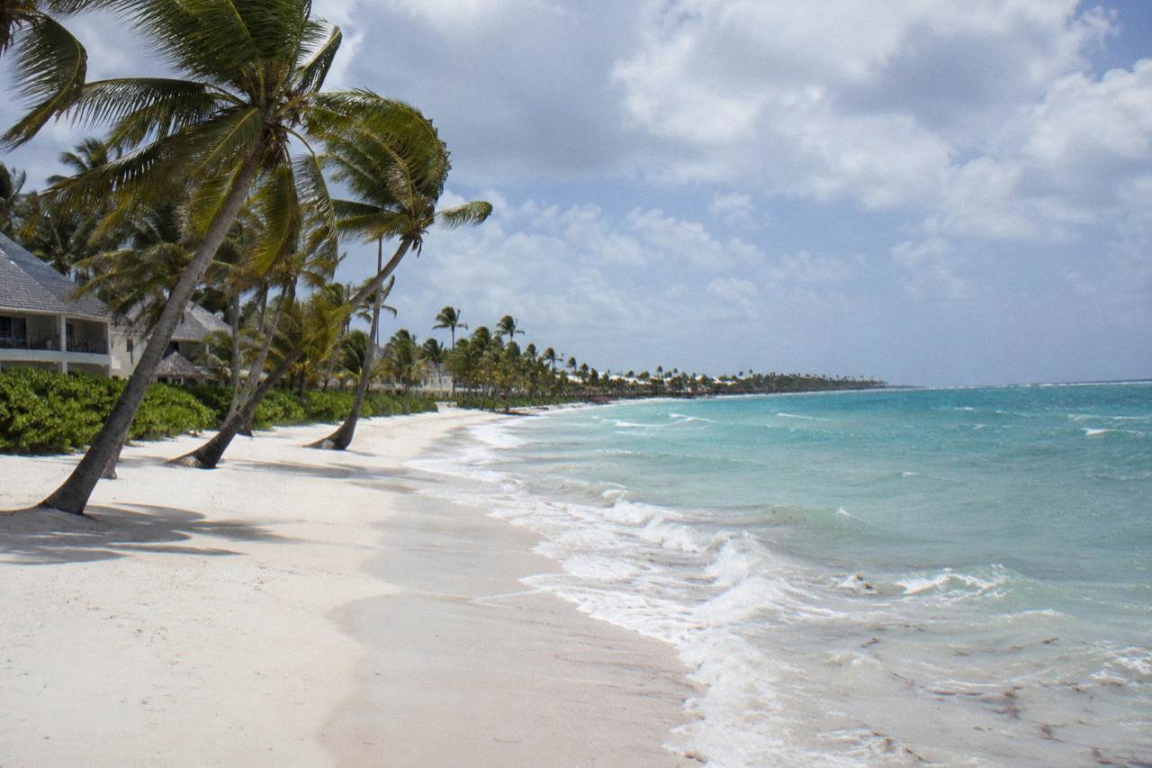 Palm-lined resort coastline with turquoise water and a wide sandy beach at midday