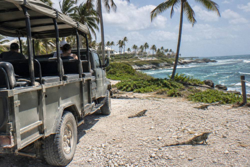 An open-air safari style tour truck parked on a rural road beside palm trees