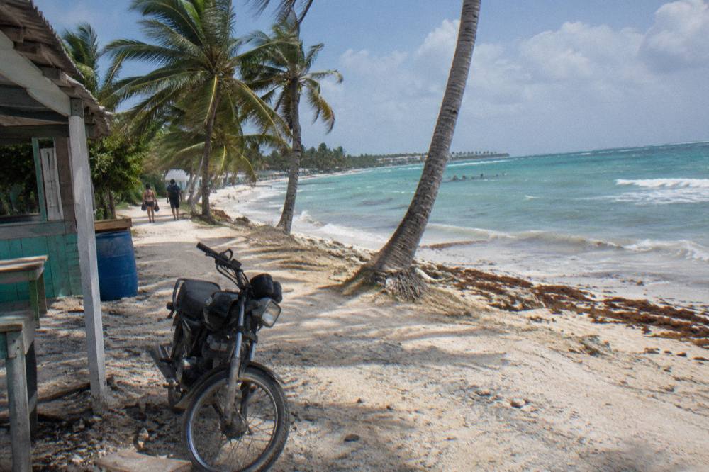 Wide sandy beach with leaning coconut palms and turquoise water under a clear sky