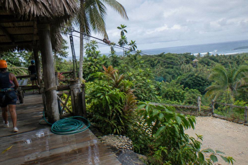 Wooden zipline platform in dense green jungle with cables stretching between trees
