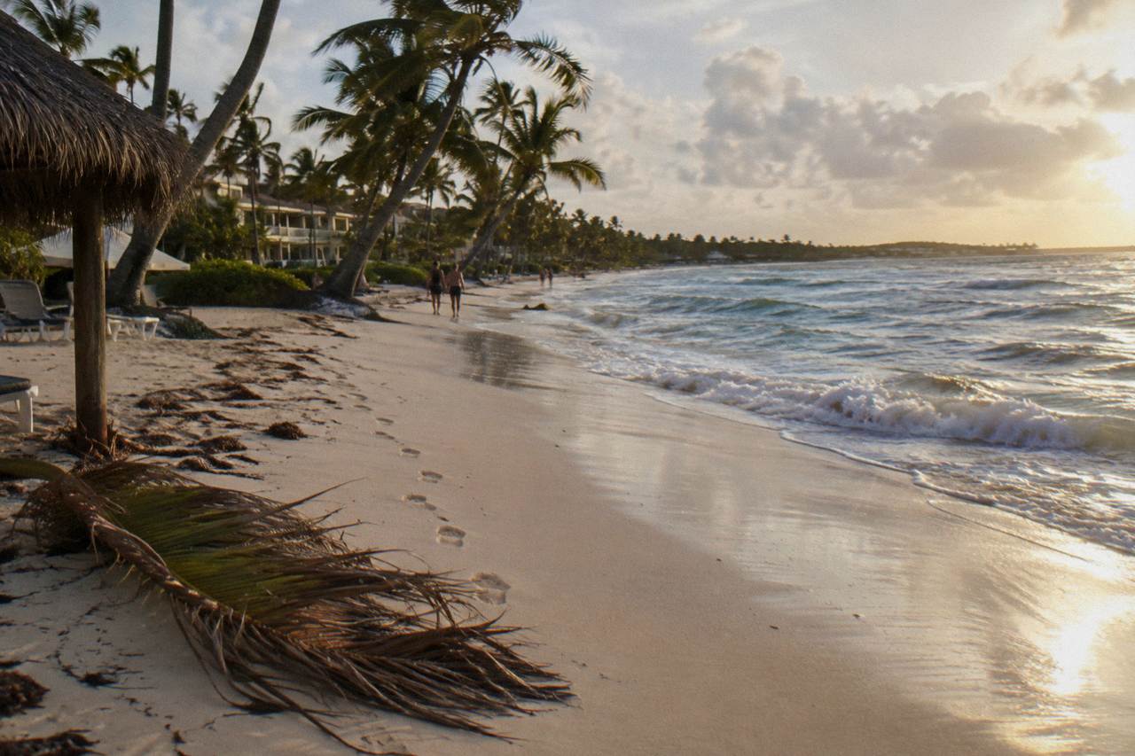 Quiet stretch of palm-lined Caribbean shoreline at golden hour with gentle waves along the sand