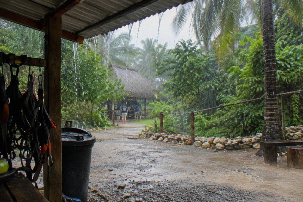 Heavy tropical rain falling on dense jungle canopy