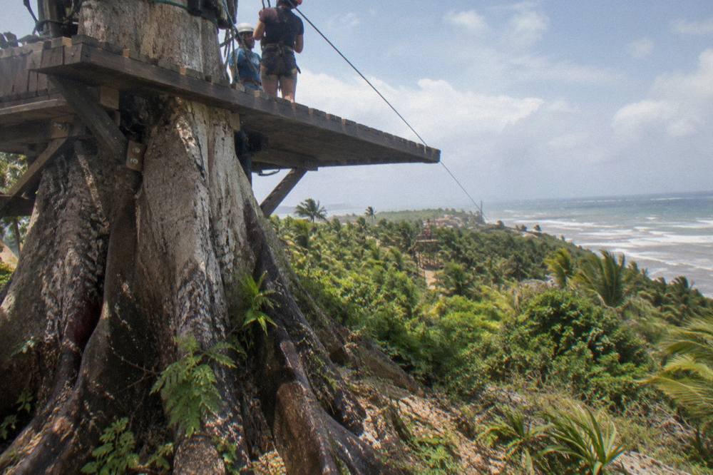 Wooden zipline platform built against a tree trunk high above forested mountain slopes