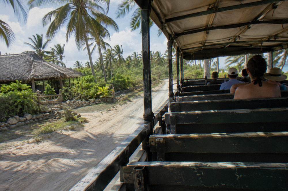 Open-sided safari truck carrying guests along a palm-lined road toward a zipline base