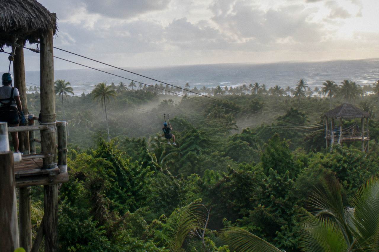 Zipline cables strung between wooden platforms above dense green jungle canopy