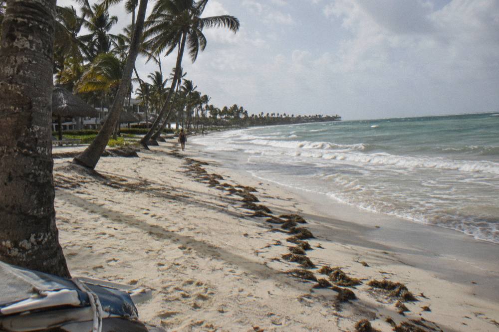 Empty public beach with white sand, leaning palms and gentle waves at midday