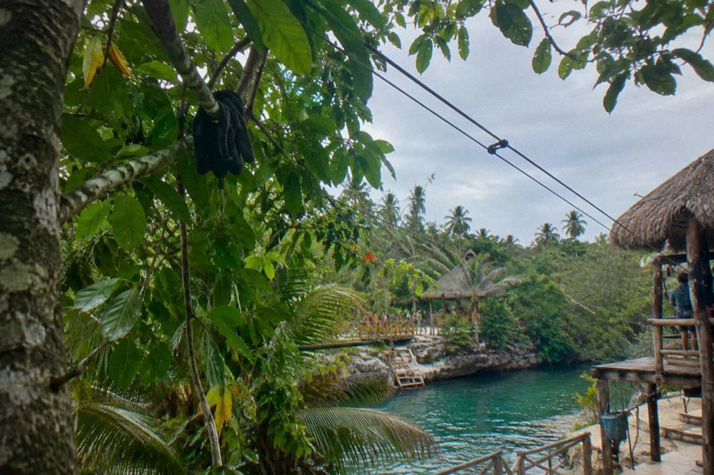 Zipline platform high in dense green jungle canopy with cables stretching between trees