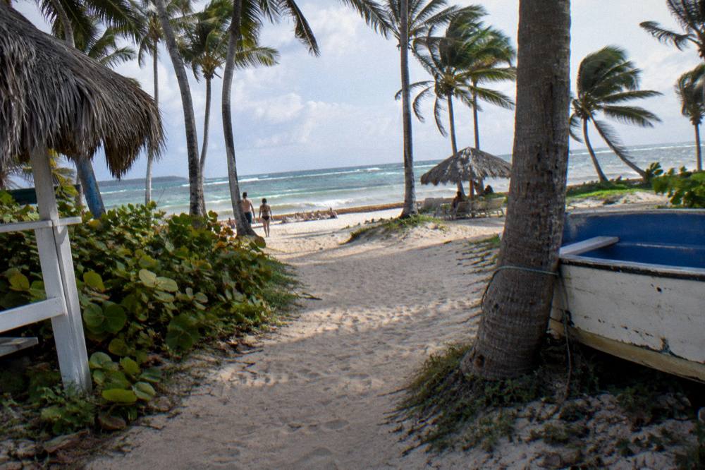 Beach access path through palms leading to open sand and gentle surf