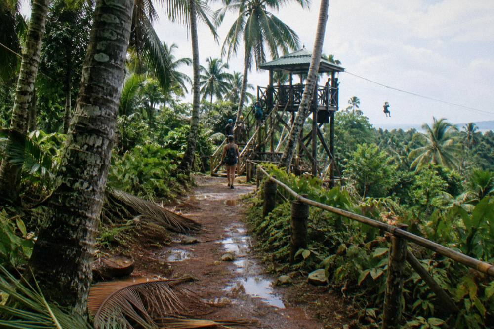 Jungle trail winding through palm trees toward a wooden zipline platform