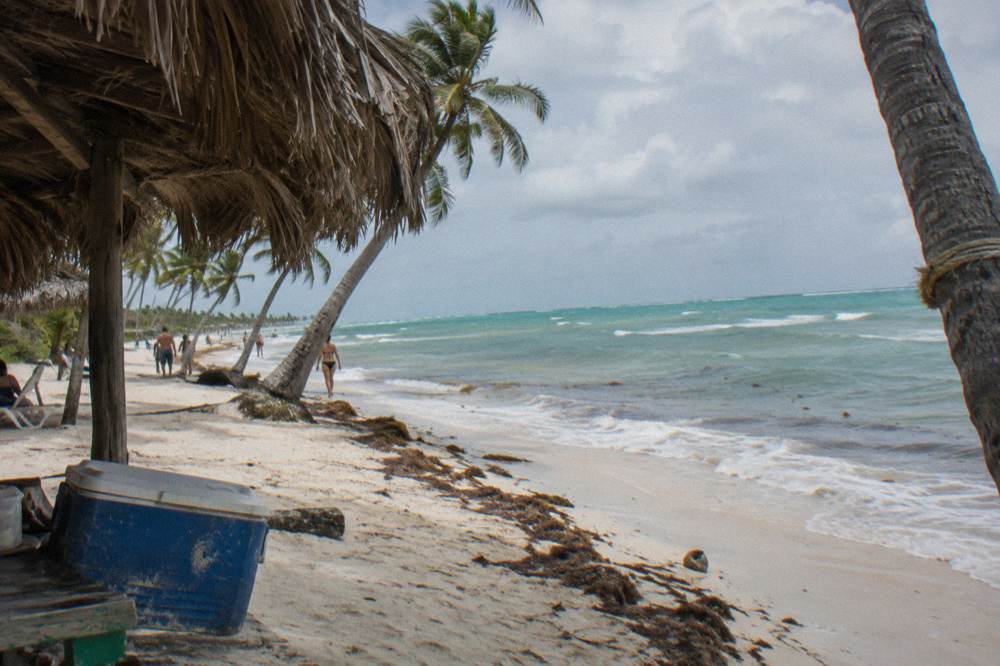 Turquoise water and palm trees along a wide Caribbean beach at midday