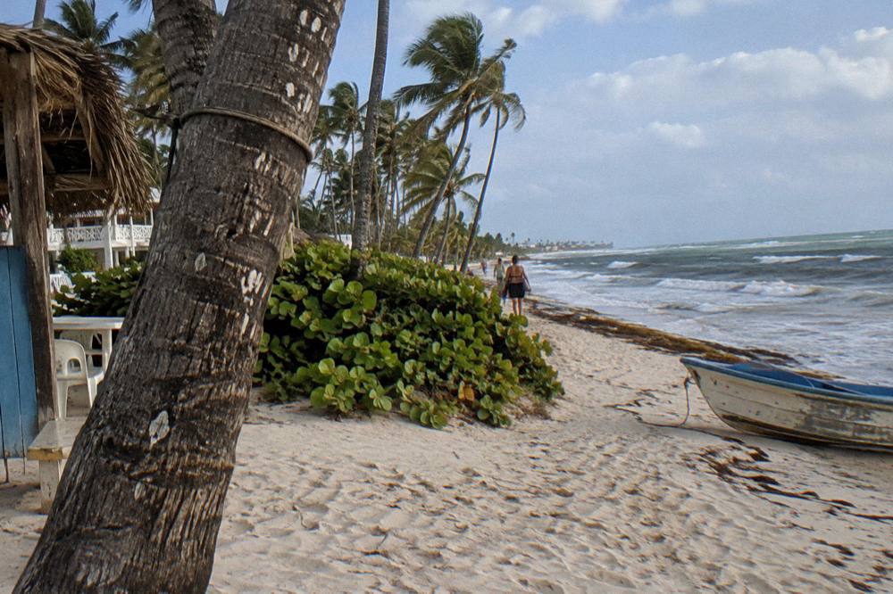 Quiet public beach with white sand and palm trees along the Bávaro coastline
