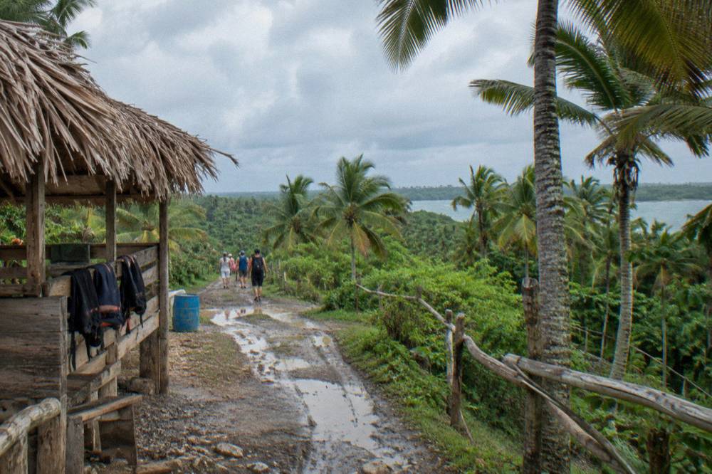 Rain clouds gathering over palm forest in the Dominican Republic countryside