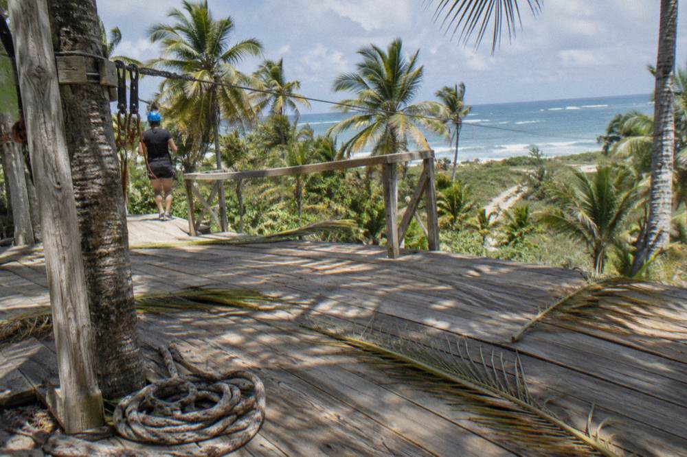 Empty wooden zipline platform in a palm grove under bright tropical sky