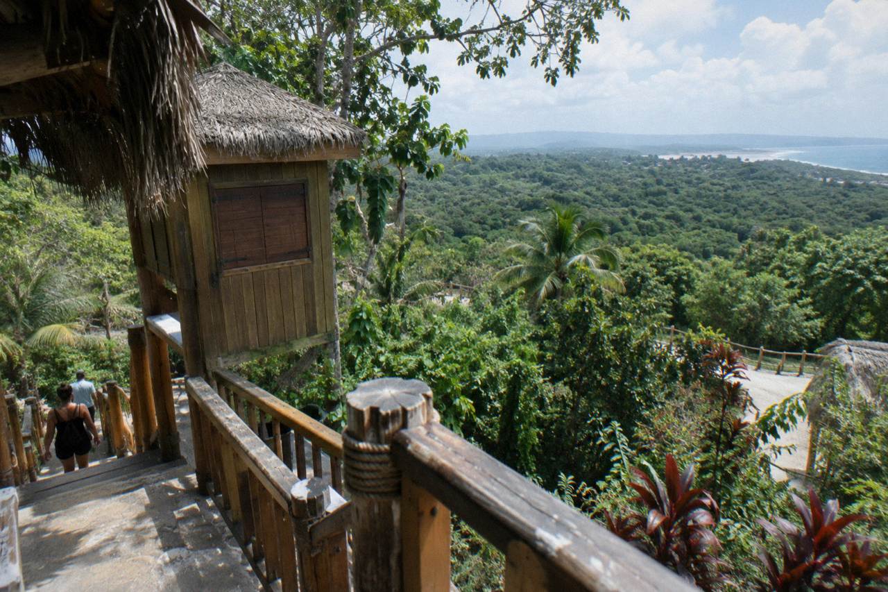 Sunlit jungle canopy in Punta Cana with distant hills under a partly cloudy sky