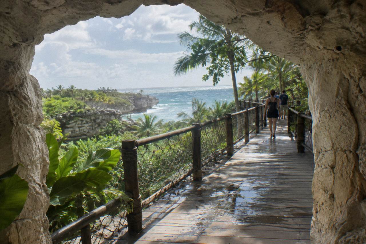 Wooden walkway through dense tropical forest inside a Caribbean adventure park