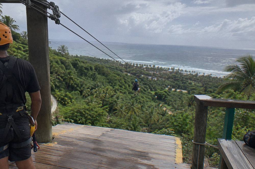A zipline platform built into a forested mountainside with cables stretching downhill