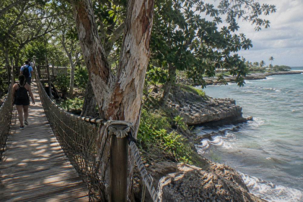 A wooden zipline platform and hanging bridge spanning trees in a tropical park