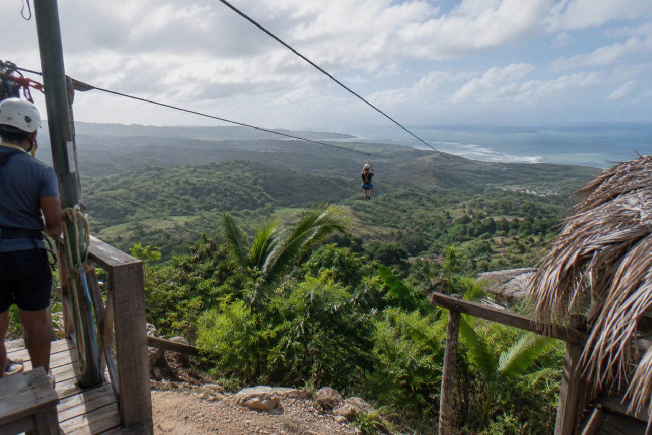 Zipline cables crossing a green jungle canopy under a bright sky