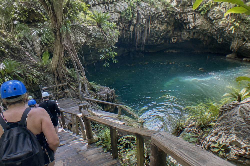 Wooden stairs and boardwalk descend through ferns to a green-blue cenote pool inside a cave