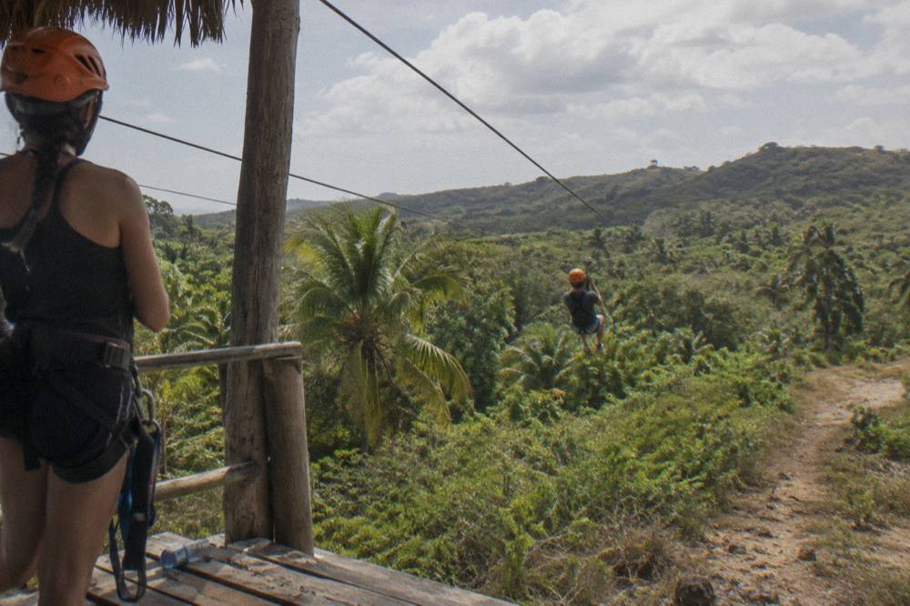 Dusty buggy trail winding through palm trees and green jungle