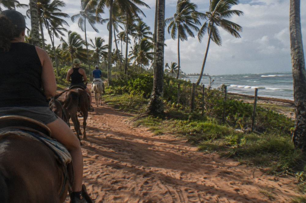 Riders on horseback following a guide along a dirt trail between palm trees