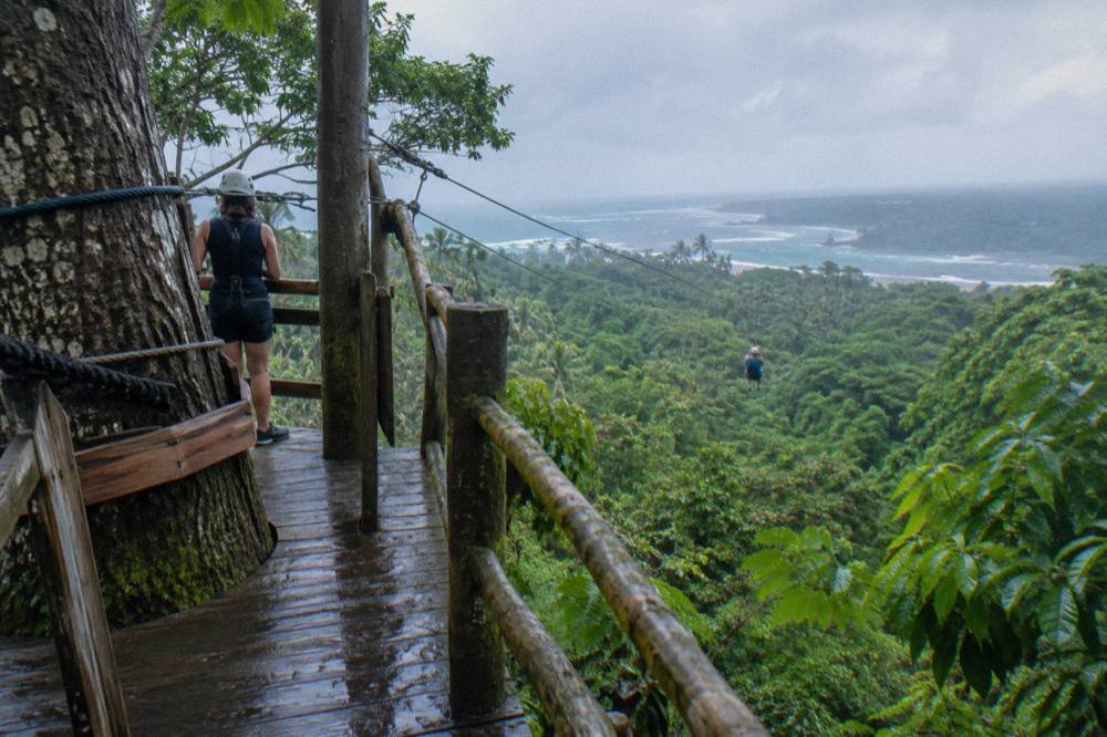 Wooden zipline platform built into a tall jungle tree with cables extending into the distance