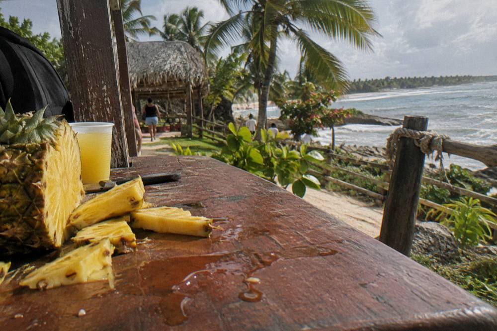 Wooden table with fresh cut tropical fruit and bottled water prepared for tour guests
