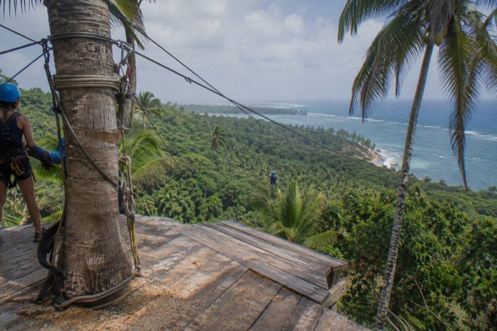 A wooden canopy platform built around a tall tree with cables radiating outward