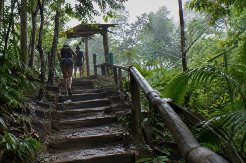 A forest trail with wooden steps leading up to a zipline platform