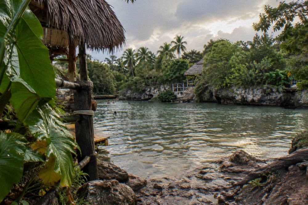 A calm river pool in the jungle after rain with water droplets on broad leaves